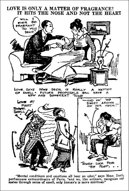 Mme. Desti cartoon, Janesville Daily Gazette, February 15, 1915 E.V.